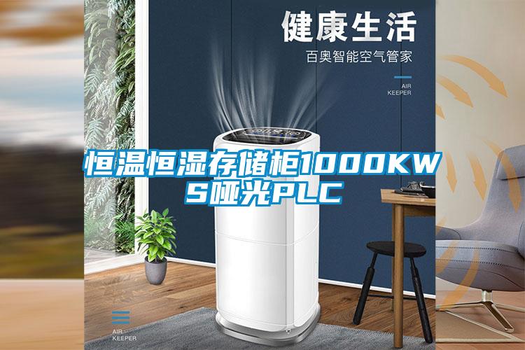 恒温恒湿存储柜1000KWS哑光PLC