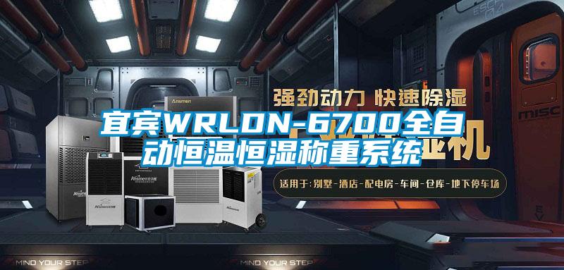 宜宾WRLDN-6700全自动恒温恒湿称重系统