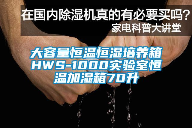 大容量恒温恒湿培养箱HWS-1000实验室恒温加湿箱70升