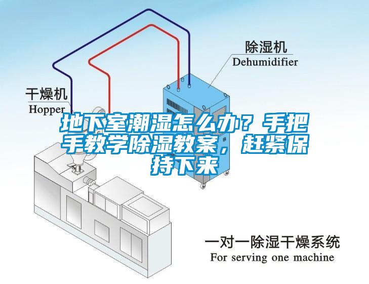 地下室潮湿怎么办？手把手教学除湿教案，赶紧保持下来