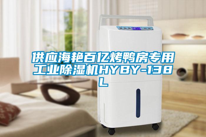 供应海艳百亿烤鸭房专用万向娱乐除湿机HYBY-138L