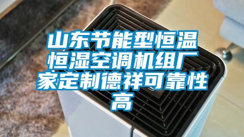 山东节能型恒温恒湿空调机组厂家定制德祥可靠性高