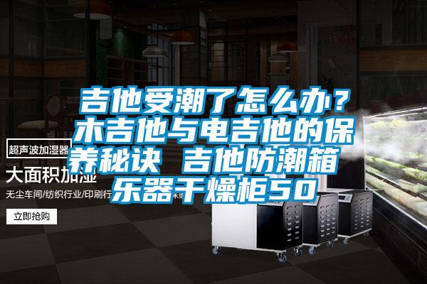 吉他受潮了怎么办？木吉他与电吉他的保养秘诀 吉他防潮箱 乐器干燥柜50