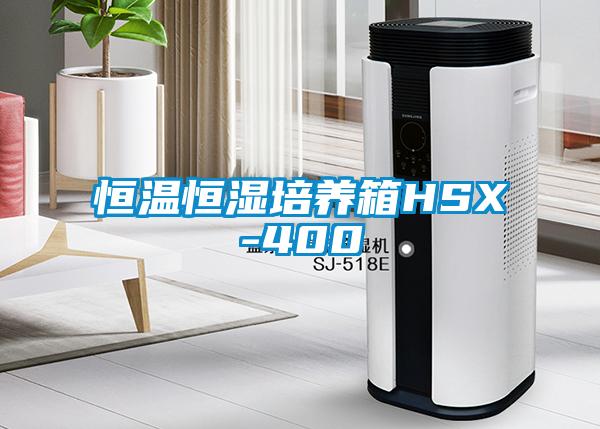 恒温恒湿培养箱HSX-400