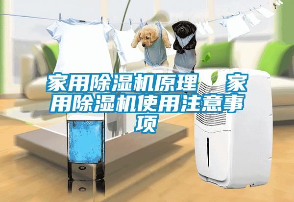 家用除湿机原理  家用除湿机使用注意事项