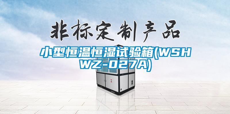 小型恒温恒湿试验箱(WSHWZ-027A)