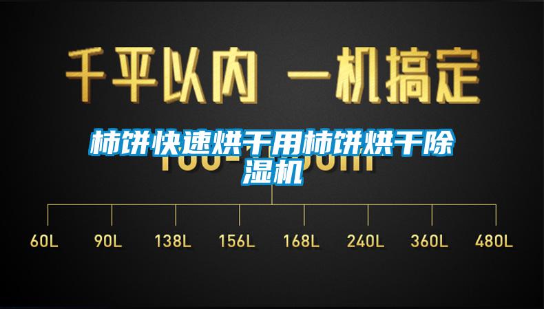 柿饼快速烘干用柿饼烘干除湿机