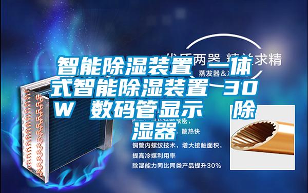 智能除湿装置 一体式智能除湿装置 30W 数码管显示  除湿器