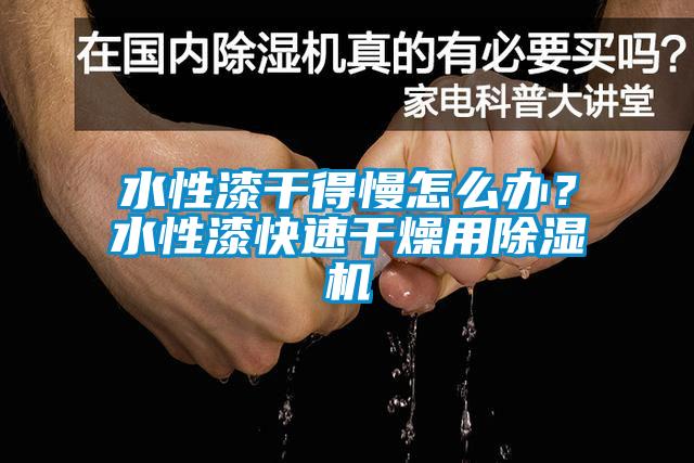 水性漆干得慢怎么办？水性漆快速干燥用除湿机