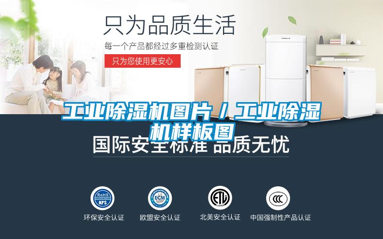 万向娱乐除湿机图片／万向娱乐除湿机样板图