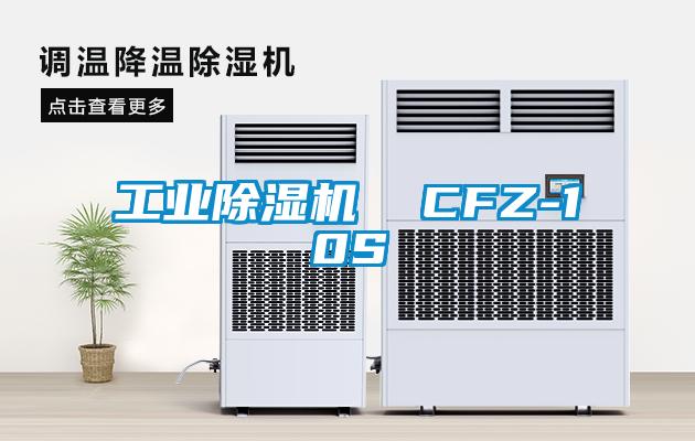 万向娱乐除湿机  CFZ-10S