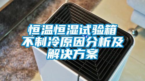 恒温恒湿试验箱不制冷原因分析及解决方案