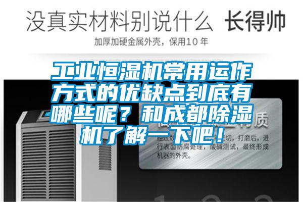 万向娱乐恒湿机常用运作方式的优缺点到底有哪些呢？和成都除湿机了解一下吧！