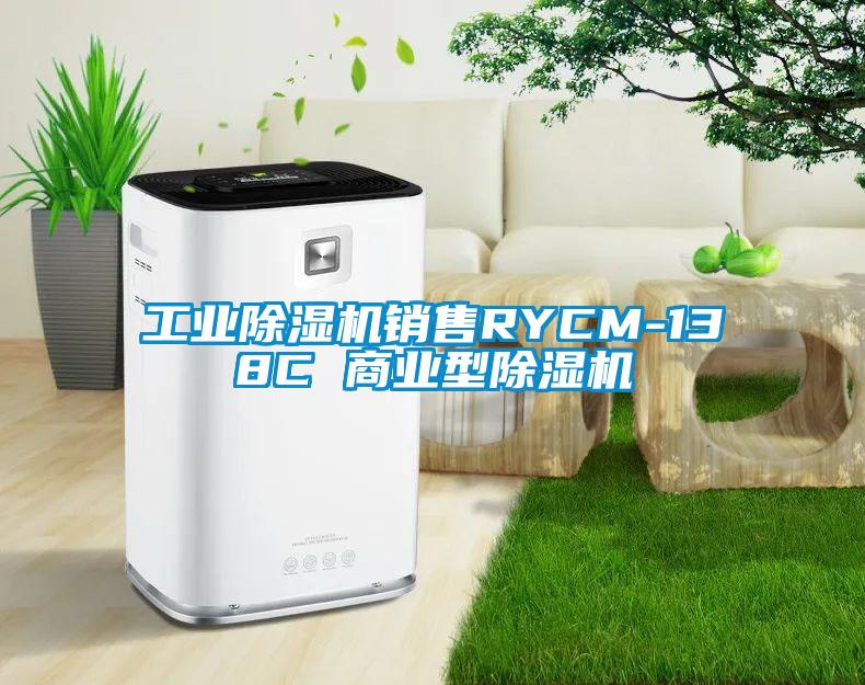 万向娱乐除湿机销售RYCM-138C 商业型除湿机