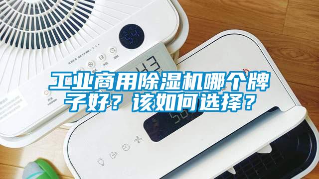 万向娱乐商用除湿机哪个牌子好？该如何选择？