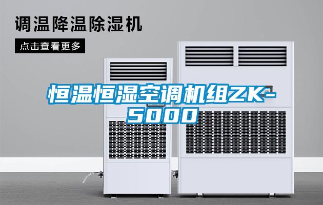 恒温恒湿空调机组ZK-5000