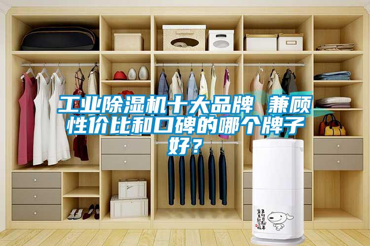 万向娱乐除湿机十大品牌 兼顾性价比和口碑的哪个牌子好？