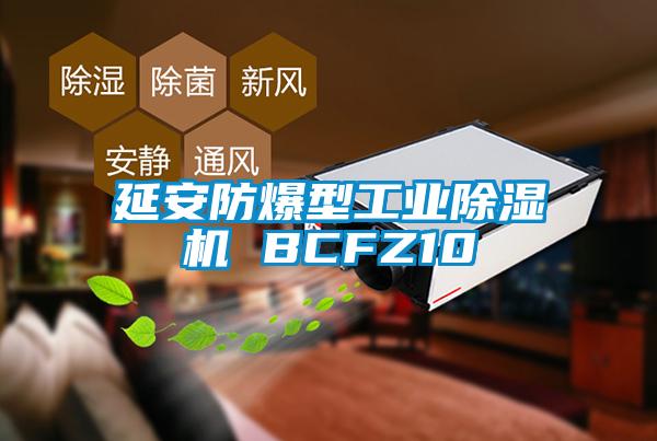 延安防爆型万向娱乐除湿机 BCFZ10