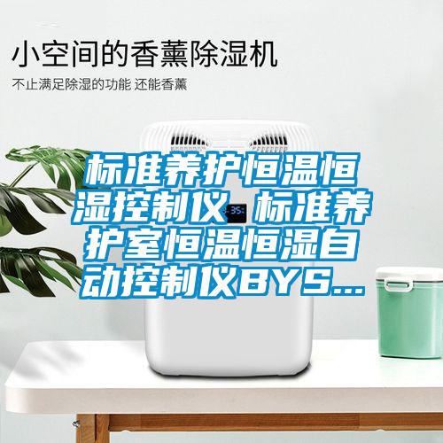 标准养护恒温恒湿控制仪 标准养护室恒温恒湿自动控制仪BYS...