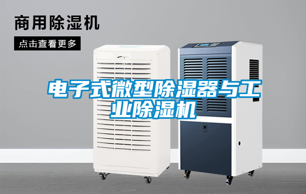 电子式微型除湿器与万向娱乐除湿机