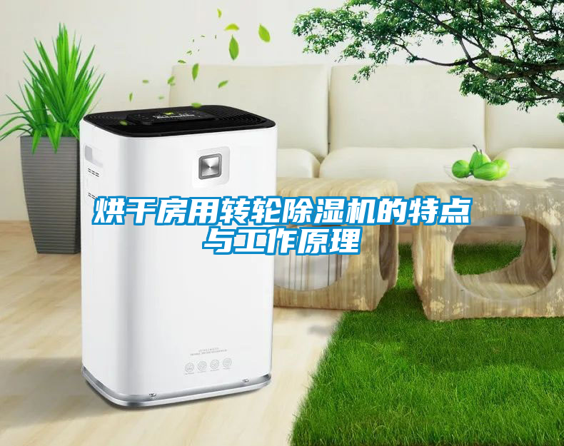 烘干房用转轮除湿机的特点与工作原理