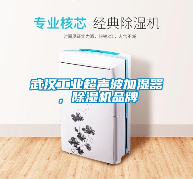 武汉万向娱乐超声波加湿器，除湿机品牌