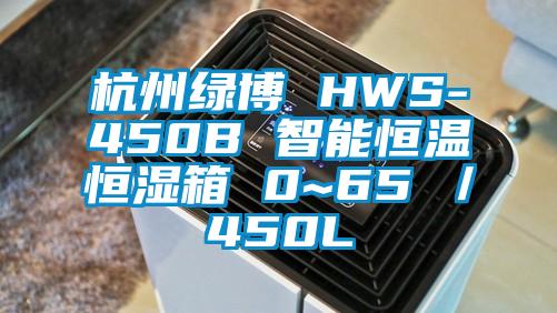 杭州绿博 HWS-450B 智能恒温恒湿箱 0~65℃／450L