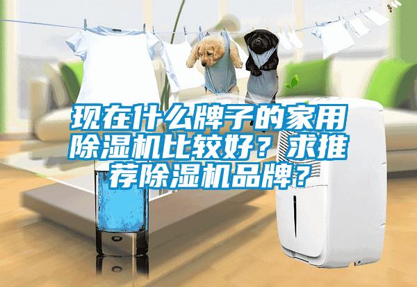 现在什么牌子的家用除湿机比较好？求推荐除湿机品牌？