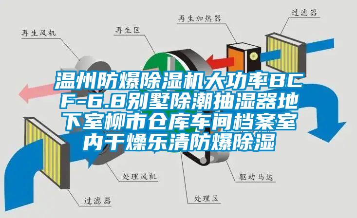 温州防爆除湿机大功率BCF-6.8别墅除潮抽湿器地下室柳市仓库车间档案室内干燥乐清防爆除湿