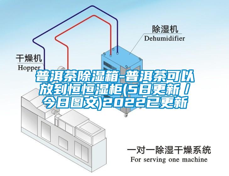 普洱茶除湿箱-普洱茶可以放到恒恒湿柜(5日更新／今日图文)2022已更新