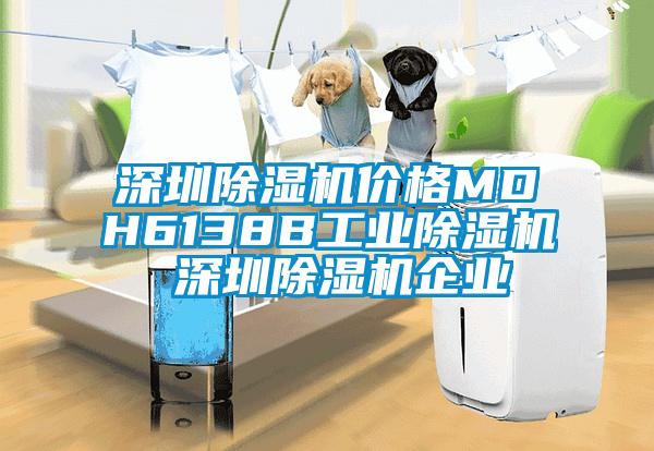 东莞除湿机价格MDH6138B万向娱乐除湿机 东莞除湿机企业