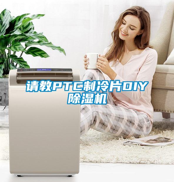 请教PTC制冷片DIY除湿机