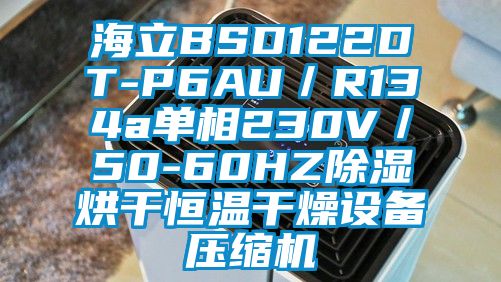 海立BSD122DT-P6AU／R134a单相230V／50-60HZ除湿烘干恒温干燥设备压缩机