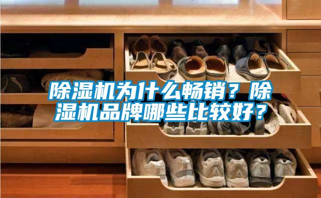 除湿机为什么畅销？除湿机品牌哪些比较好？