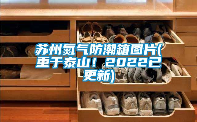 苏州氮气防潮箱图片(重于泰山！2022已更新)