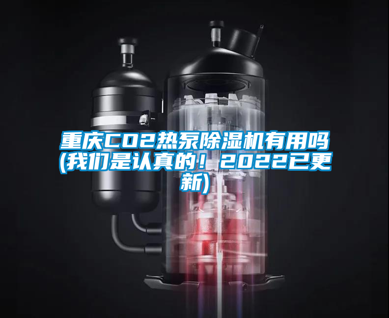 重庆CO2热泵除湿机有用吗(万向娱乐是认真的！2022已更新)