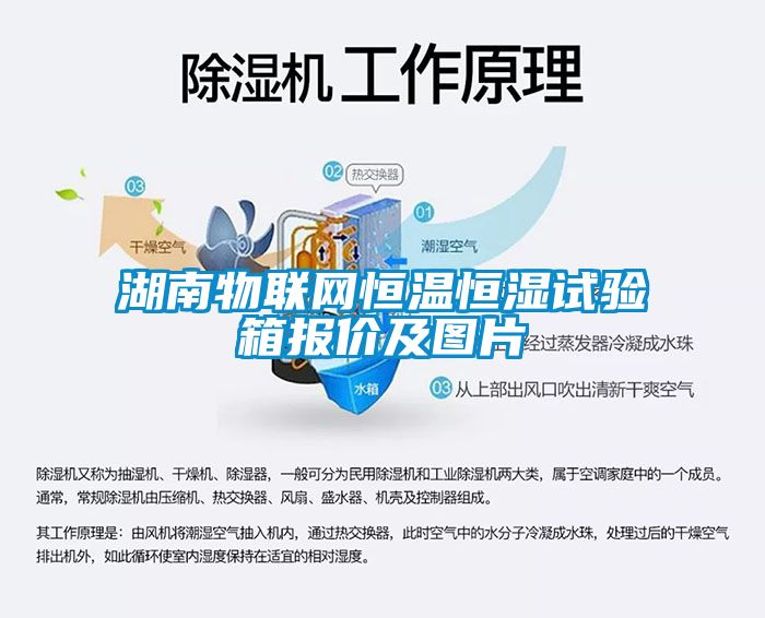 湖南物联网恒温恒湿试验箱报价及图片