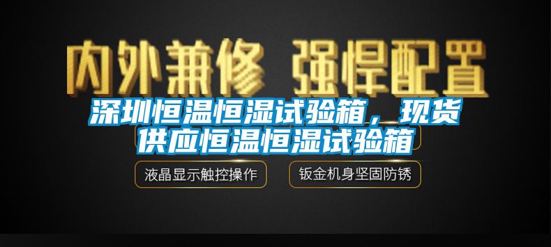 东莞恒温恒湿试验箱，现货供应恒温恒湿试验箱