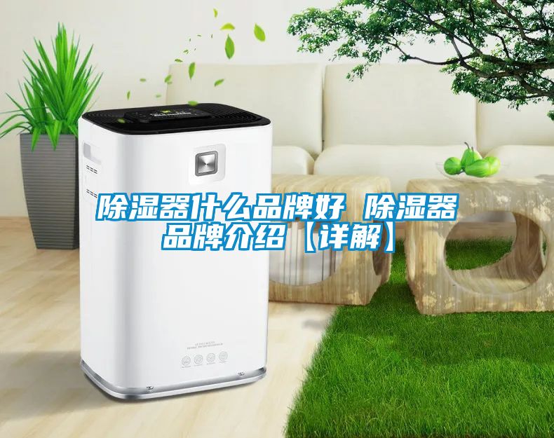 除湿器什么品牌好 除湿器品牌介绍【详解】