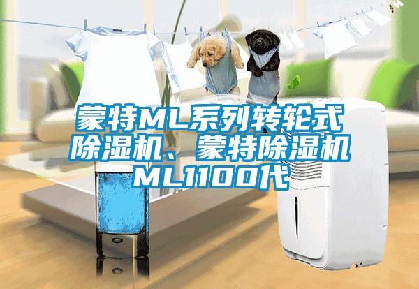 蒙特ML系列转轮式除湿机、蒙特除湿机ML1100代