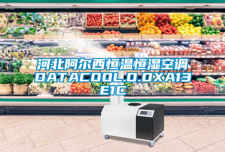 河北阿尔西恒温恒湿空调DATACOOL.O.DXA13E1C