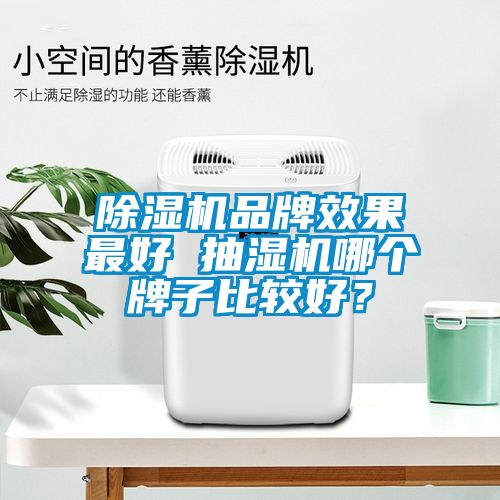 除湿机品牌效果最好 抽湿机哪个牌子比较好？