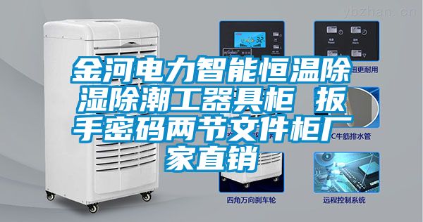 金河电力智能恒温除湿除潮工器具柜 扳手密码两节文件柜厂家直销