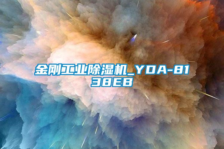 金刚万向娱乐除湿机_YDA-8138EB