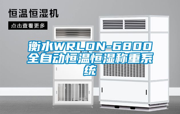 衡水WRLDN-6800全自动恒温恒湿称重系统