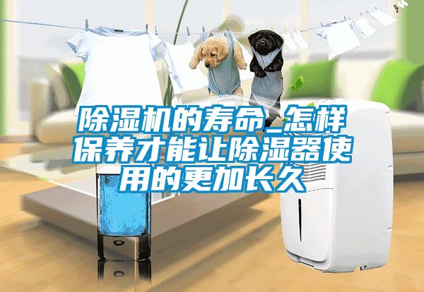 除湿机的寿命_怎样保养才能让除湿器使用的更加长久