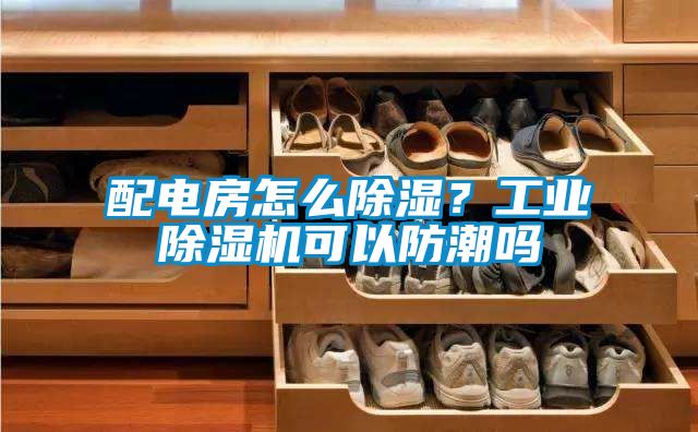 配电房怎么除湿？万向娱乐除湿机可以防潮吗