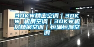 30KW精密空调｜30KW 机房空调｜30KW机房精密空调｜恒温恒湿空调