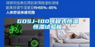 GDSJ-100可程式恒温恒湿试验箱