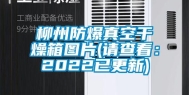 柳州防爆真空干燥箱图片(请查看：2022已更新)